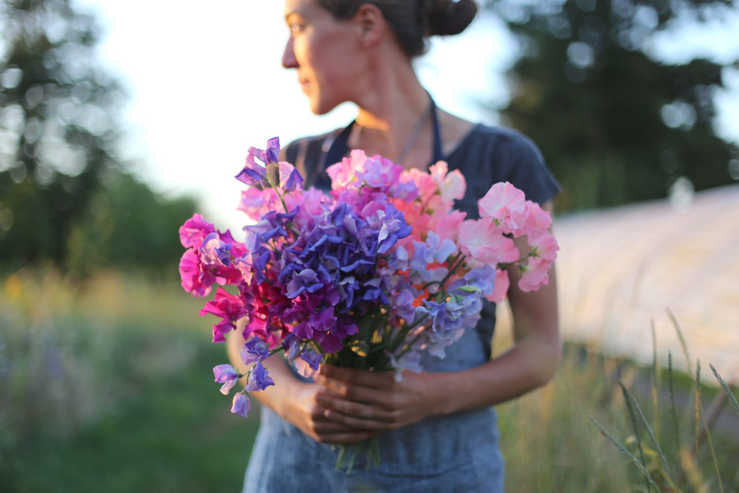 Confessions of a sweet pea addict (plus a sweet giveaway!) - Floret Flowers