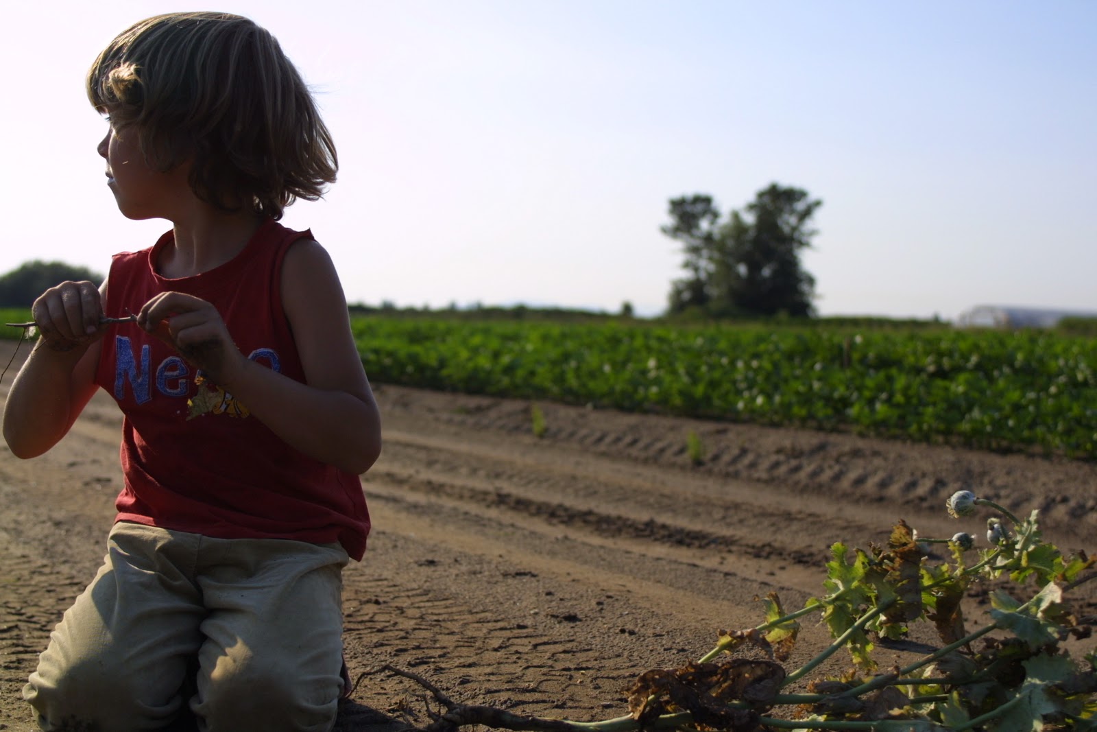 Jasper Benzakein in the field