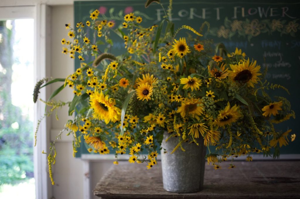 Harvest & care tips for 10 heat-loving summer blooms - Floret Flowers