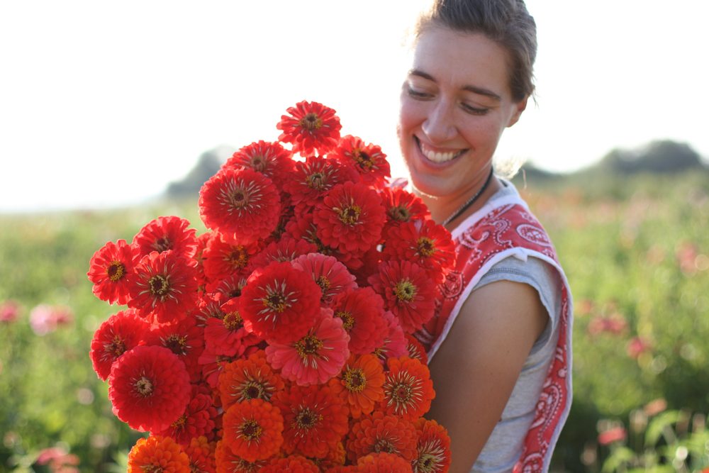 Grow Your Own Safflower Seed - Nikki Lynn Design