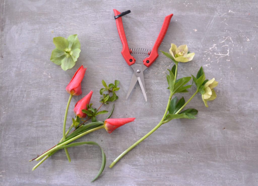 Florist & Craft Scissors, Bulk Florist Supplies