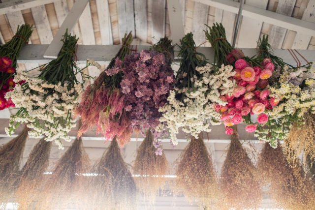 Small assortment of dried florals! Perfect Holiday or Birthday