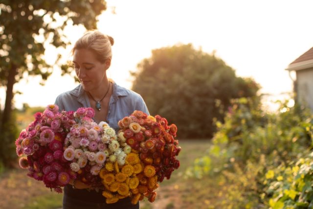 Shop – Soil + Soul Studio  Wedding bouquet preservation, How to preserve  flowers, Floral preservation
