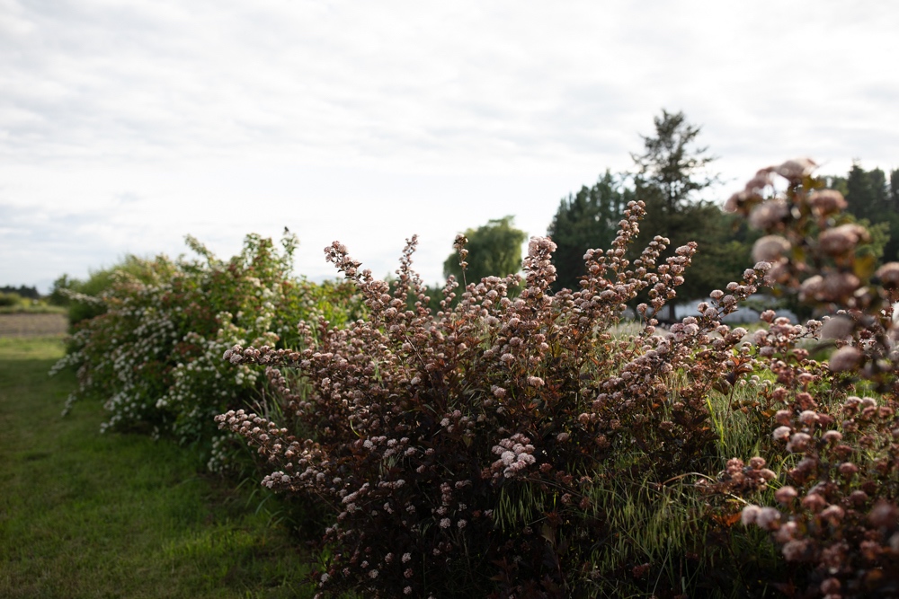 Fabulous Foliage And Fillers - Floret Flowers