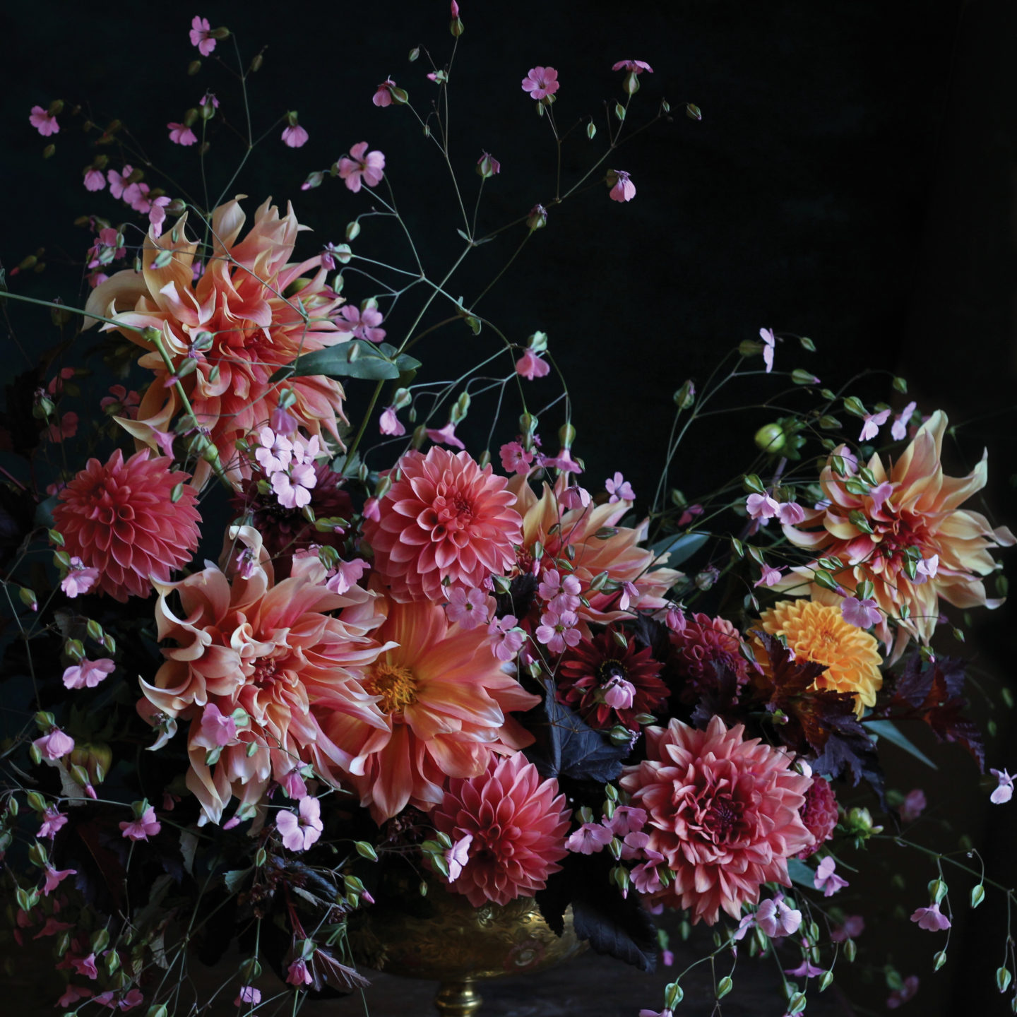 The Farmer & the {Florist} Interview: Christin Geall - Floret Flowers