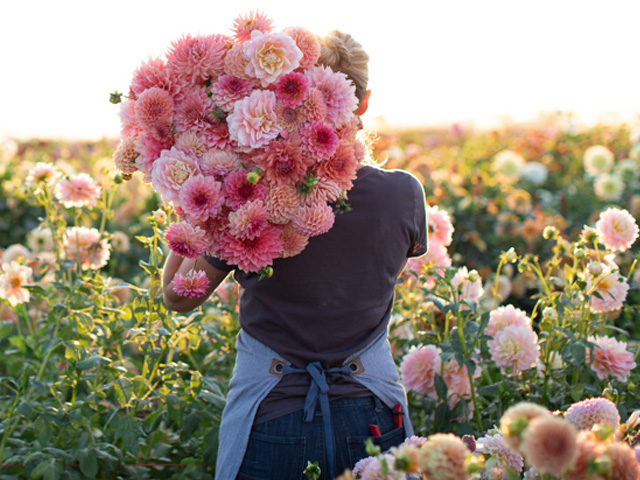The French Potager's Ode to Spring Flowers - Flower Magazine