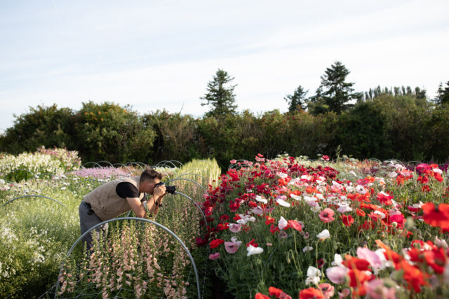 Floret S Favorite Things Floret Flowers