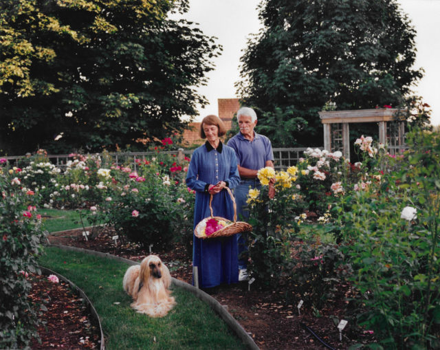 https://www.floretflowers.com/wp-content/uploads/2021/12/Anne-and-Max-in-Formal-Rose-Garden-640x509.jpg