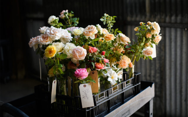 Pearl and Rhinestone Mesh Top – Wildflowers Rebloomed Boutique