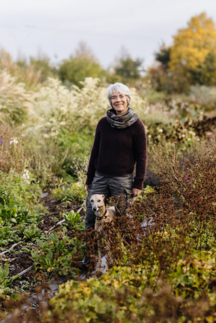 The {Farmer} & The Florist Interview: Rachel Siegfried - Floret Flowers