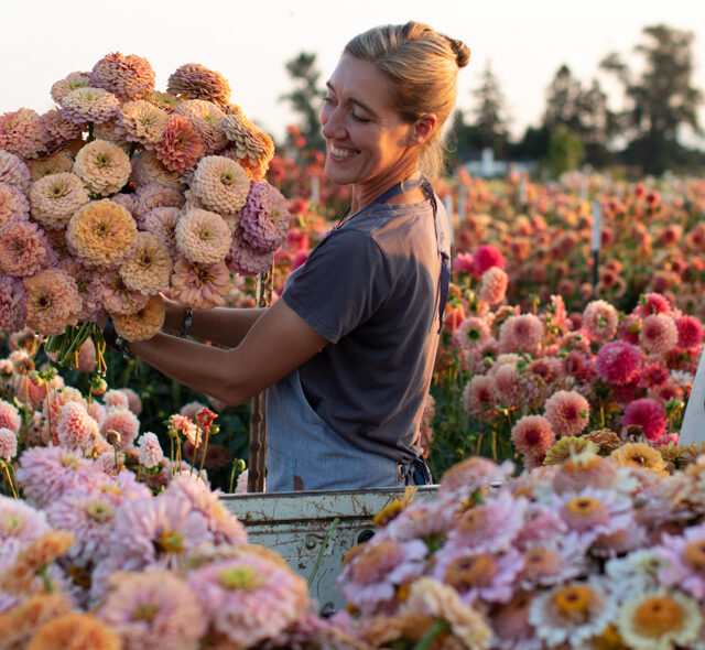 Floret Flowers - We are a small family farm in Washington's Skagit Valley